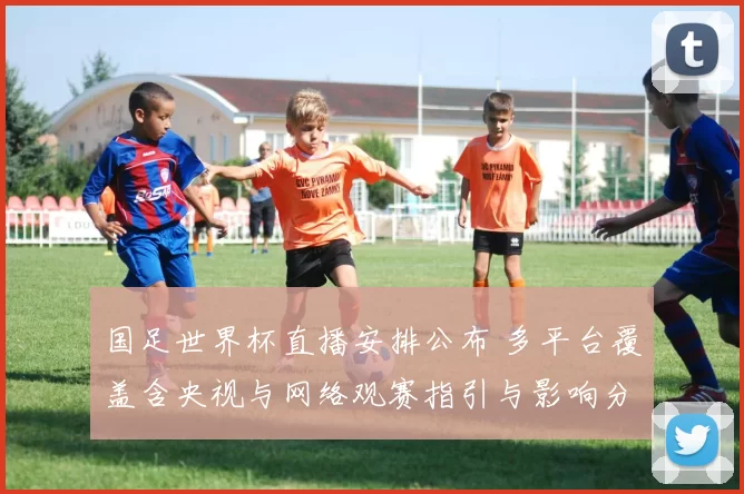 国足世界杯直播安排公布 多平台覆盖含央视与网络观赛指引与影响分析