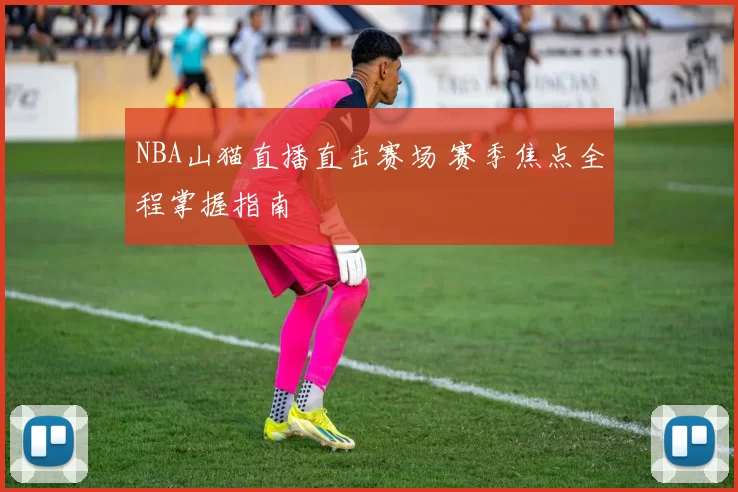 NBA山猫直播直击赛场 赛季焦点全程掌握指南