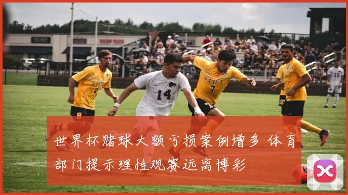 世界杯赌球大额亏损案例增多 体育部门提示理性观赛远离博彩
